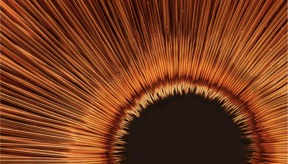 M.E.D. rückt näher an das Erscheinungsbild von AddVision